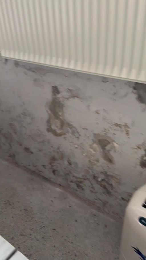 Roskilde, Denmark – from dehumidifier to heat-recovery ventilation